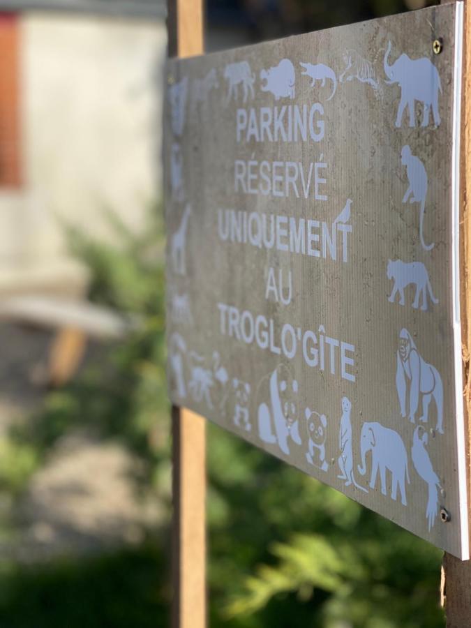 Le Troglo'Gite, 500M A Pied Du Zoo De Beauval Seigy Buitenkant foto